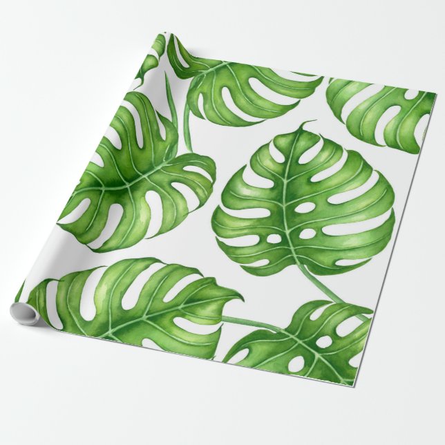 Monstera vattenfärg mönster presentpapper (Utrullad)