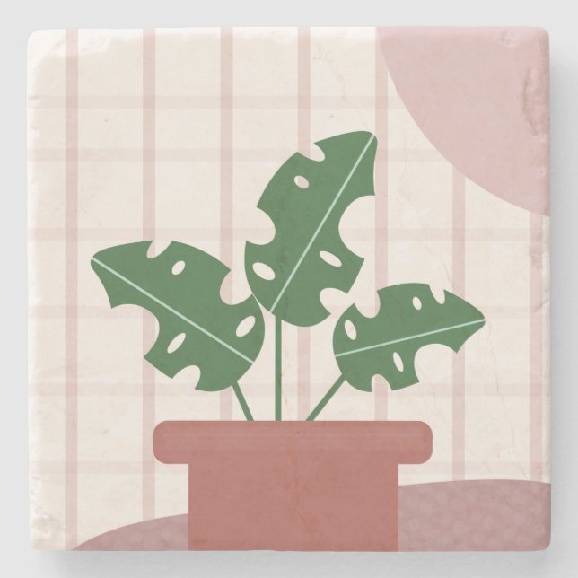 Monstera Växter Terrakotta Rutig Bakgrund Rosa Stenunderlägg (Framsidan)