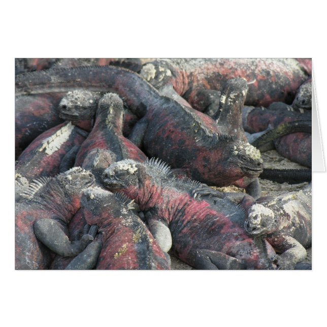 Monsterpaktens vykort hälsningskort (Framsidan Horizontal)