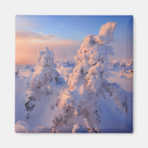 Mont Logan soluppgång Gaspésie nationalpark Quebec Magnet