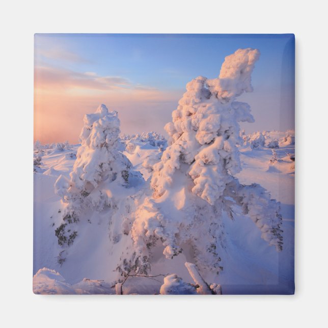 Mont Logan Sunrise Gaspesie nationalpark Quebec Magnet (Framsidan)