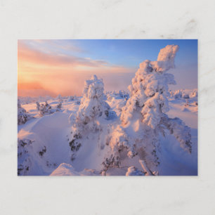 Mont Logan Sunrise Gaspesie nationalpark Quebec Vykort