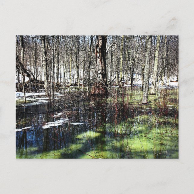 Mont-Royal Vykort (Framsida)