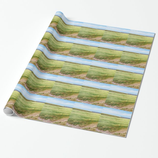 Mont Sanktt-Michel 4 Presentpapper (Utrullad)