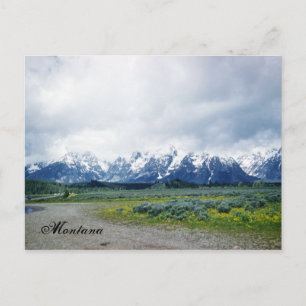 Montana Backe Ligcape Benice 1950's Postcard Vykort