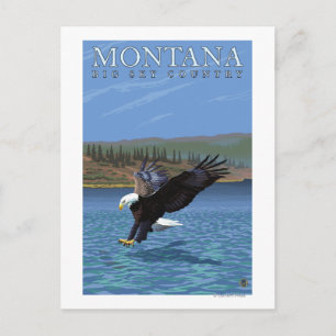 Montana - Big Himlar CountryDiving Eagle Vykort