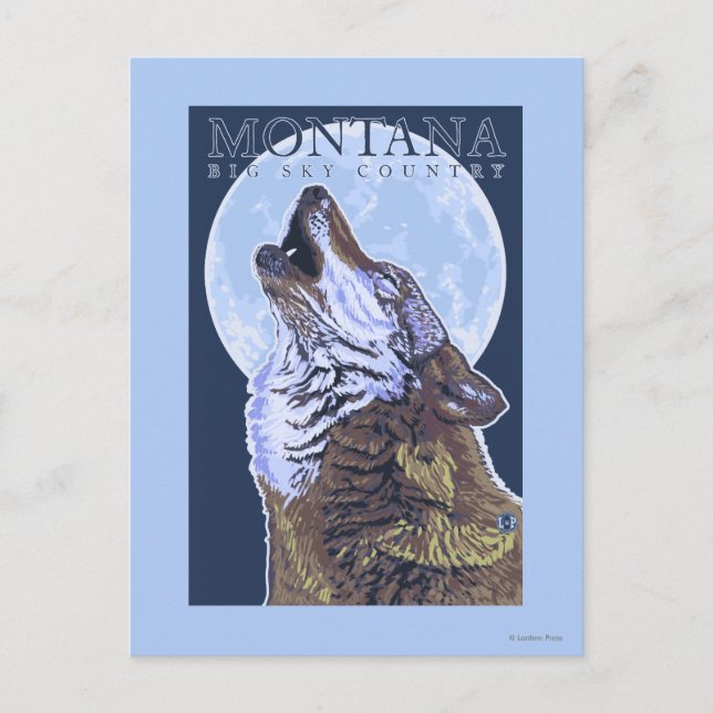 Montana - Big Himlar CountryHowling Varg Vykort (Framsida)