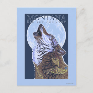 Montana - Big Himlar CountryHowling Varg Vykort