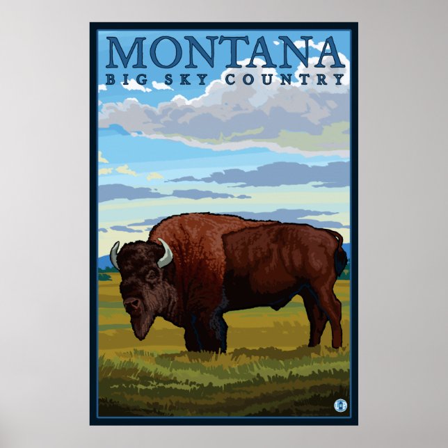 Montana - Bison Poster (Framsidan)