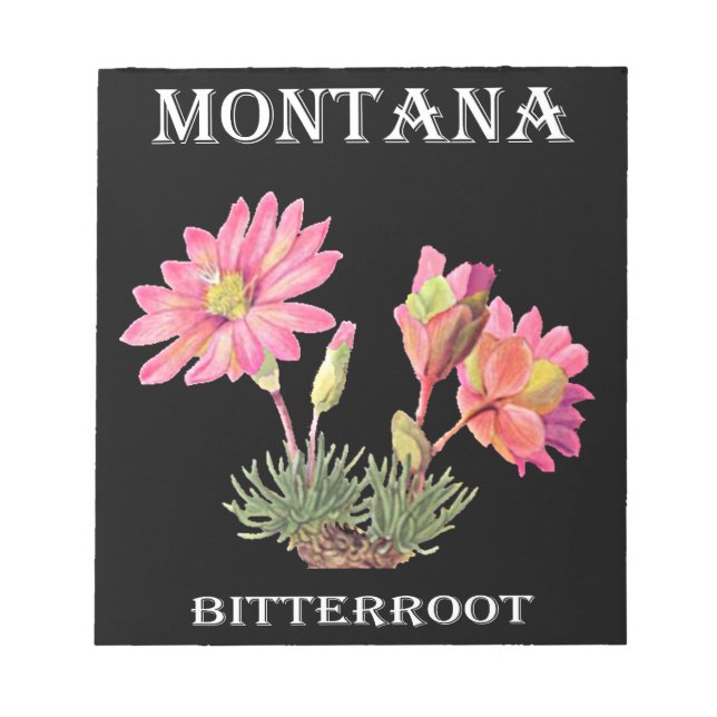 Montana Bitterroot Anteckningsblock (Framsida)