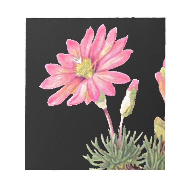 Montana Bitterroot Anteckningsblock (Framsida)