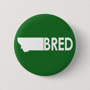 Montana Bred Knapp