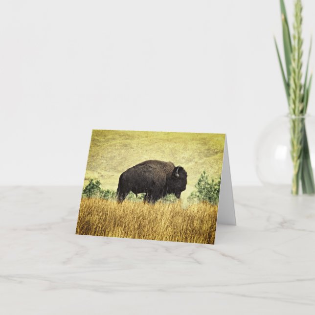 Montana buffel kort (Framsida)