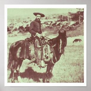 Montana Cowboy, c.1880 (b/w bild) Poster