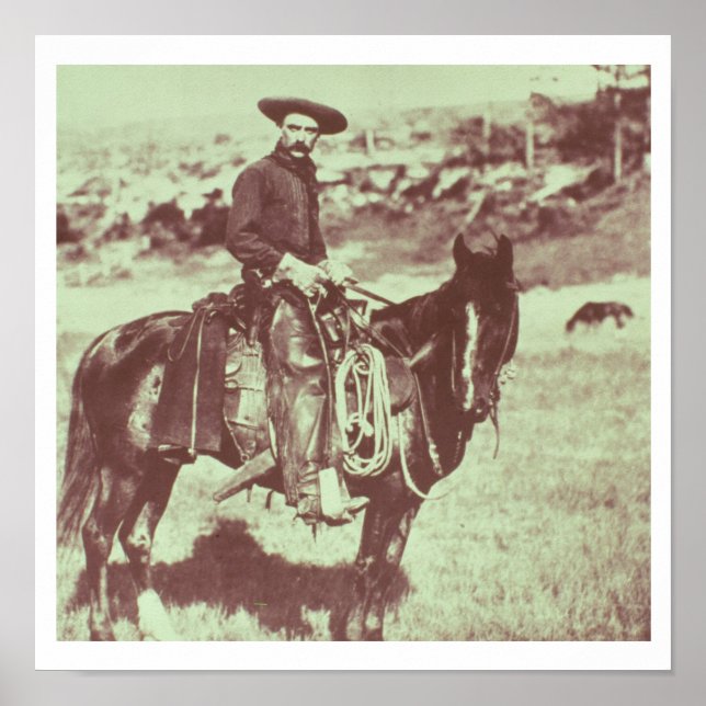 Montana Cowboy, c.1880 (b/w bild) Poster (Framsidan)