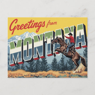 Montana Cowboy Häst Vykort