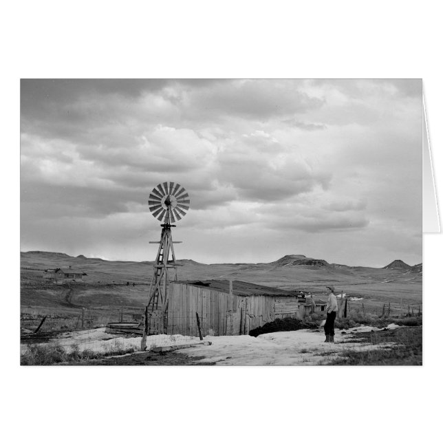 Montana Får Ranch, 1942 Hälsningskort (Framsidan Horizontal)