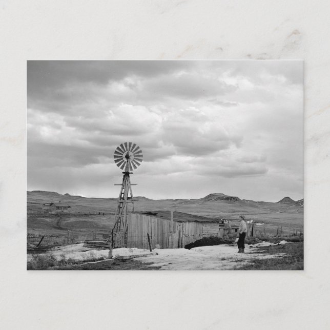 Montana Får Ranch, 1942 Vykort (Framsida)