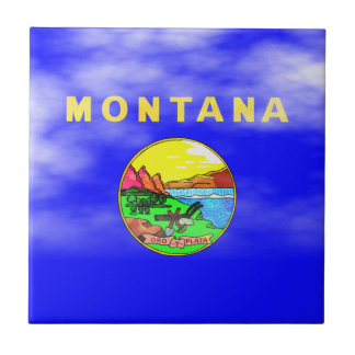 MONTANA FLAGGA KAKELPLATTA