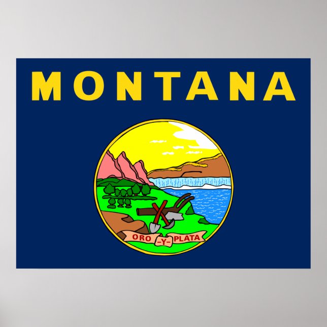 Montana flagga poster (Framsidan)