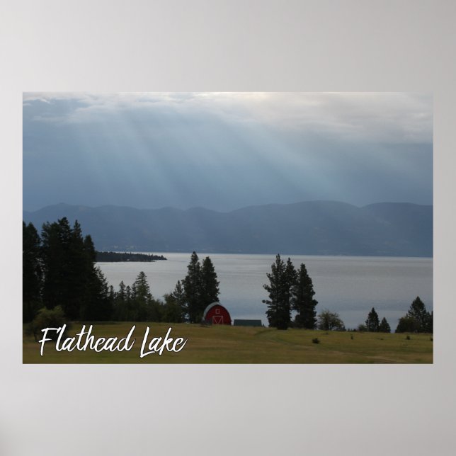 Montana Flathead Sjö Shore Red Barn Träd Poster (Framsidan)