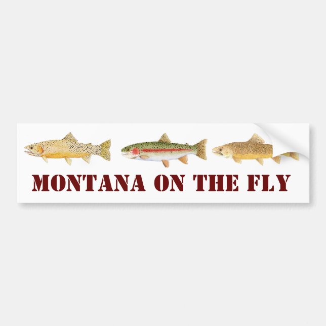 Montana flygfiskebildekal bildekal (Framsidan)