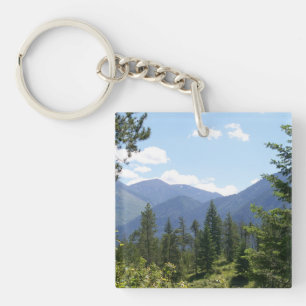 Montana Forest and Mountains Scenia View