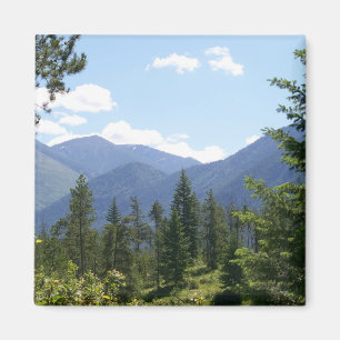 Montana Forest and Mountains Scenia View Magnet