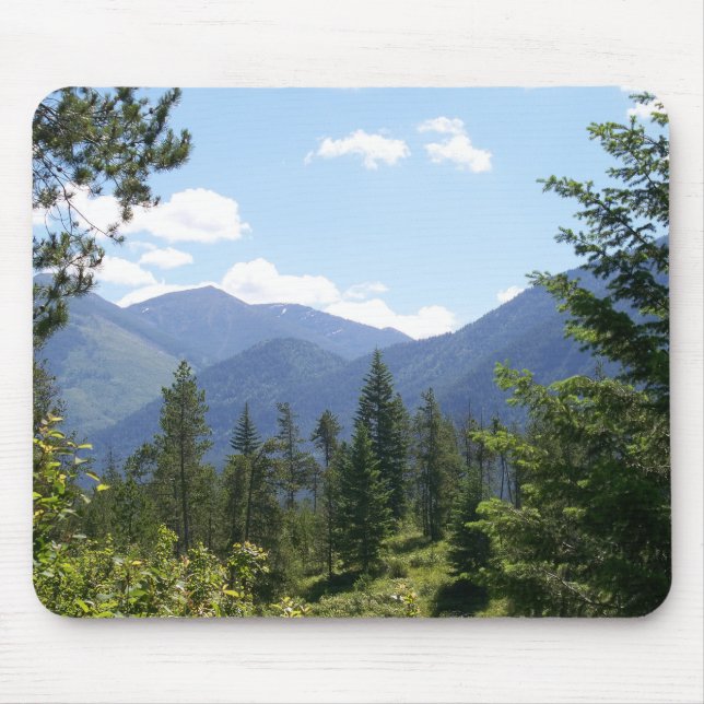 Montana Forest and Mountains Scenia View Musmatta (Framsidan)