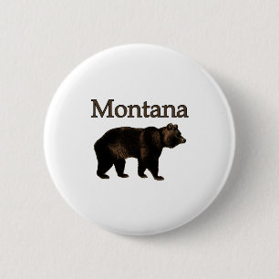 Montana Grizzlybjörn Knapp