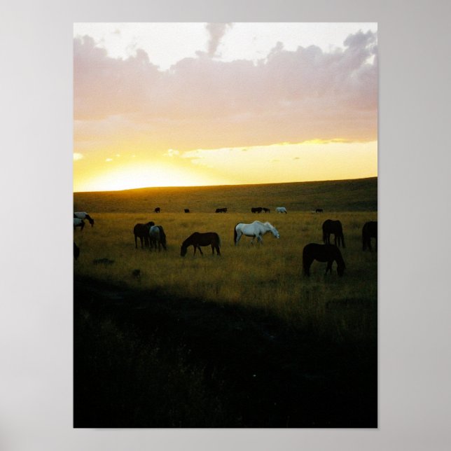 Montana Himlar Poster (Framsidan)