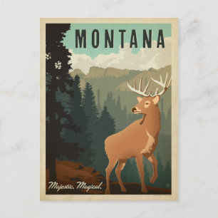Montana Hjort   Majestisk, magisk Vykort