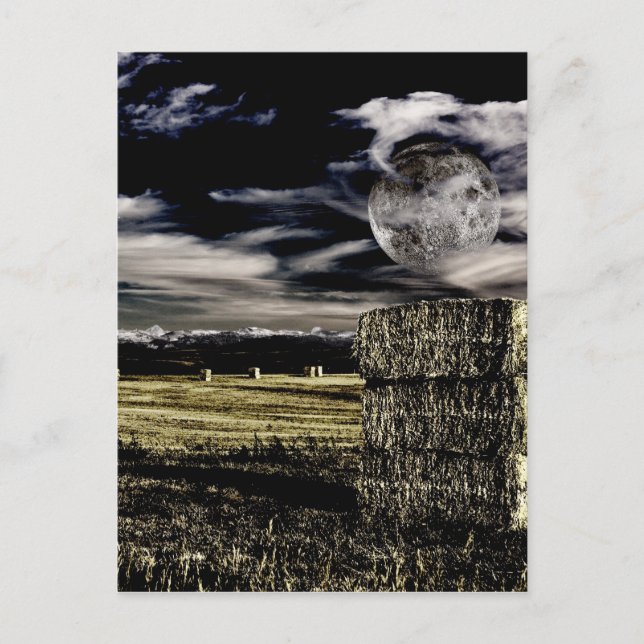 Montana Moon Vykort (Framsida)