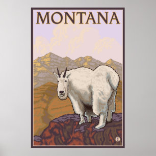 Montana - Mountain Goat Poster