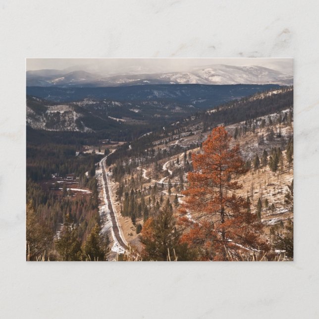 Montana Mountain Scenery Postcard Vykort (Framsida)