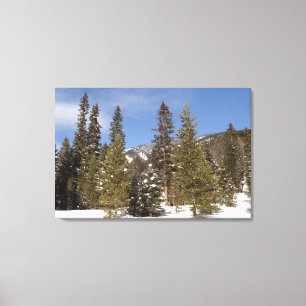 Montana Mountain Trails in Winter Ligcape Photo Canvastryck