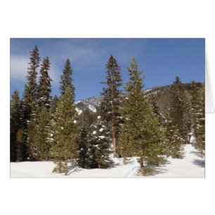 Montana Mountain Trails in Winter Ligcape Photo Hälsningskort