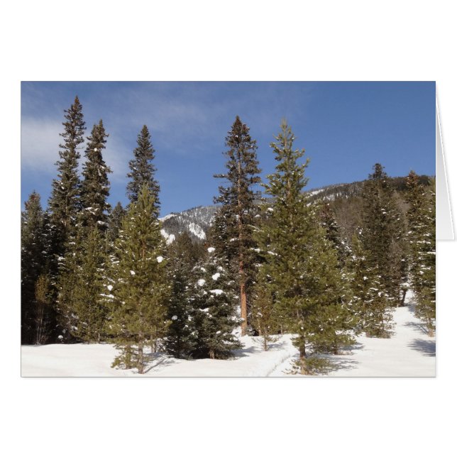 Montana Mountain Trails in Winter Ligcape Photo Hälsningskort (Framsidan Horizontal)