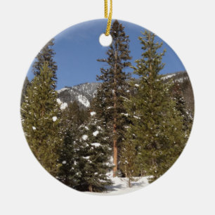 Montana Mountain Trails in Winter Ligcape Photo Julgransprydnad Keramik