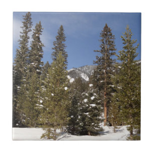 Montana Mountain Trails in Winter Ligcape Photo Kakelplatta