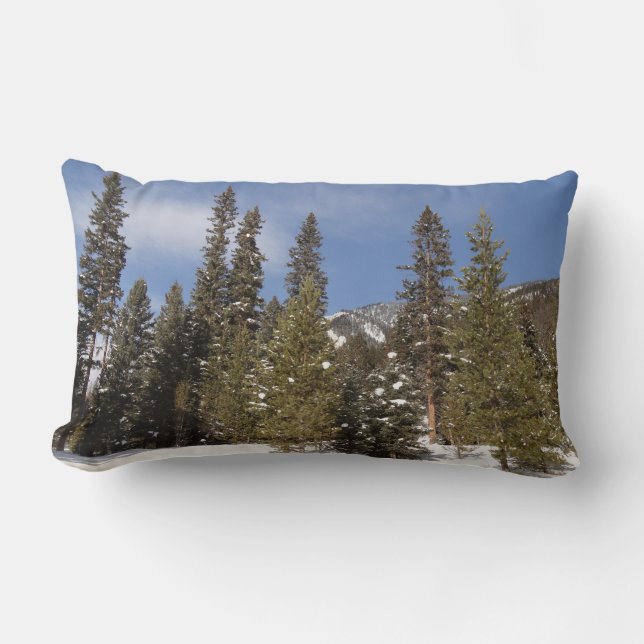 Montana Mountain Trails in Winter Ligcape Photo Lumbarkudde (Framsida)