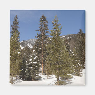 Montana Mountain Trails in Winter Ligcape Photo Magnet