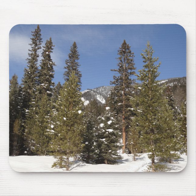 Montana Mountain Trails in Winter Ligcape Photo Musmatta (Framsidan)
