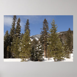 Montana Mountain Trails in Winter Ligcape Photo Poster