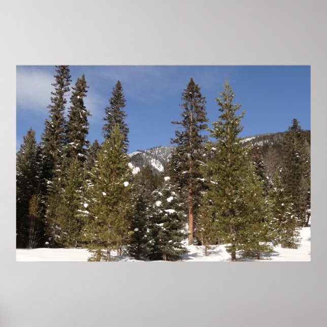 Montana Mountain Trails in Winter Ligcape Photo Poster (Framsidan)