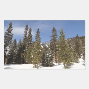 Montana Mountain Trails in Winter Ligcape Photo Rektangulärt Klistermärke