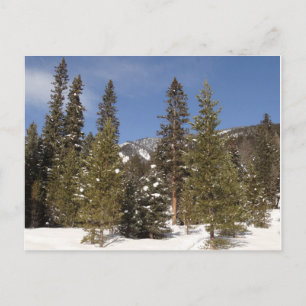 Montana Mountain Trails in Winter Ligcape Photo Vykort