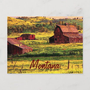 Montana Postcard Vykort