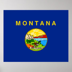 Montana Statlig flagga Design Poster
