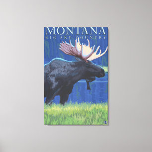 Montana -- Stor himmel CountryMoose i månsken Canvastryck